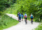 Menschen auf dem Waldweg beim Wandern und Rad fahren
