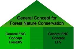 Schematic of the structure of the further developed forest nature protection concept: A "roof" for the general parts and "pillars" for the forest ownership types state forest and corporate and private forest