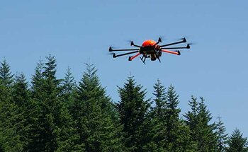 Drone recording information for forest inventory survey 