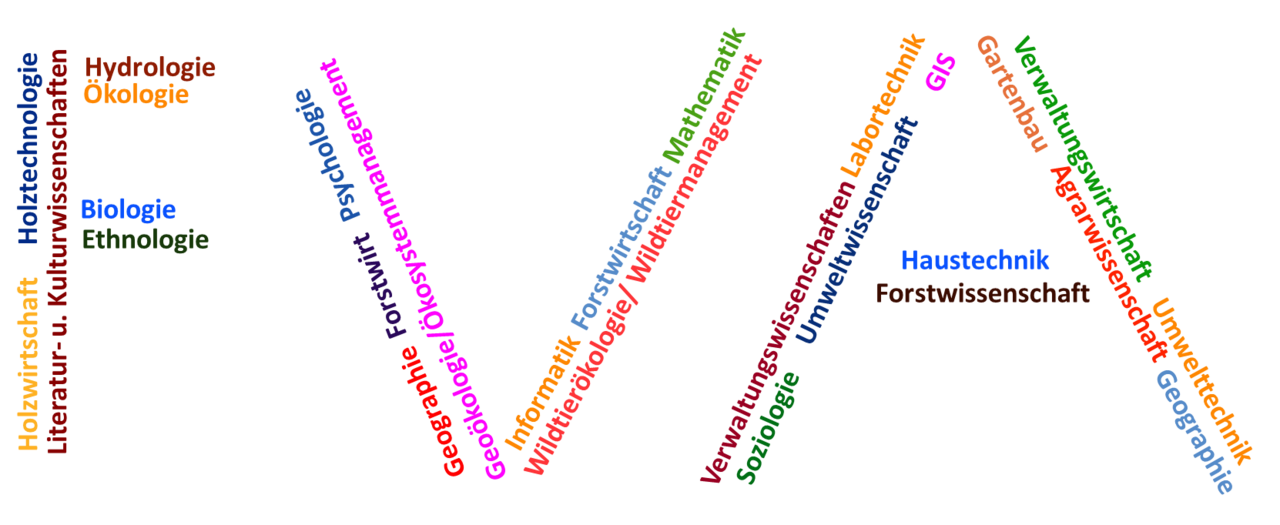 Das Logo "FVA", zusammengestellt aus verschiedenen Wörtern, die die FVA beschreiben – z. B. Soziologie, Umweltwissenschaft, GIS, etc.