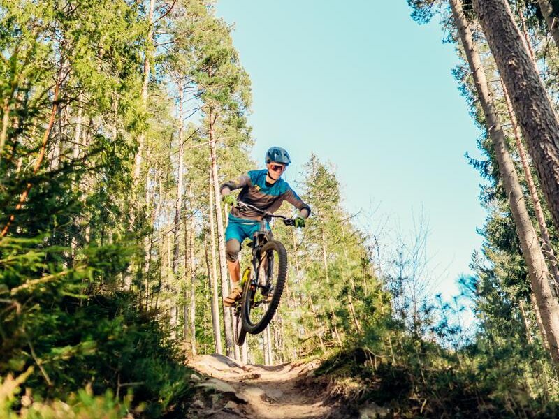 Das Bild zeigt ein Mountan-Bike Fahrer im Wald