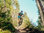 Mountainbiker fährt im Wald