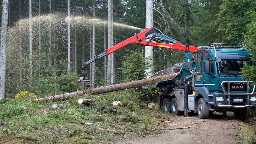 Chipping of trunkwood logs as a means of integrated bark beetle management. (Photo: FVA BW/Wonsack)