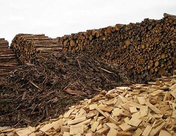 Holz für die energetische Nutzung