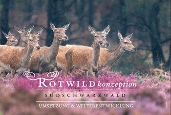 Titelbild der Broschüre "Rotwildkonzeption Südschwarzwald - Umsetzung & Weiterentwicklung" (2018)