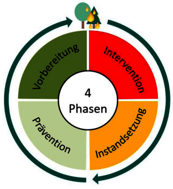 Die Grafik stellt ganzheitliches Waldbrandmanagement als Kreis mit 4 Phasen dar: Prävention, Vorbereitung, Intervention, Instandsetzung