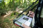 Mensch steht mit Tablet im Wald und erfasst Daten