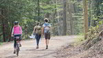 Menschen spazieren einen Waldweg entlang