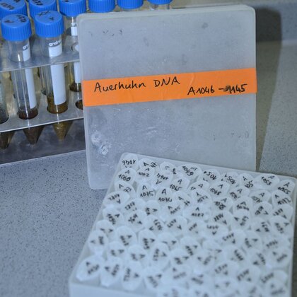 Arbeiten im Labor: Box mit DNA Proben