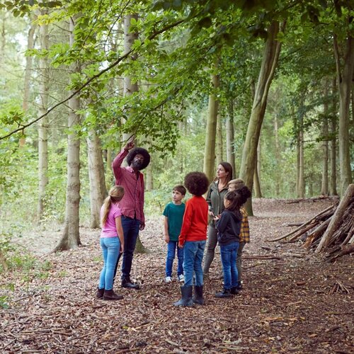 Several children stand in a group in the forest and listen to an adult explaining something to them. He points up into the treetops and the children's eyes follow him.