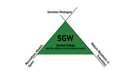 Fig. 1: Main focuses of the Societal Change Unit (SGW).