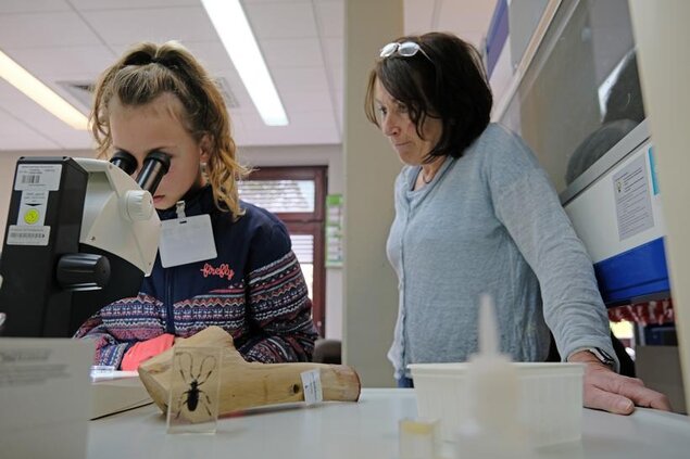 Mädchen am Mikroskop schauen nach Pilzkultur