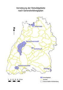 Dargestellt sind die Rotwildgebiete Baden-Württemberg. Diese sind von Nord nach Süd der Odenwald, Nordschwarzwald, Schönbuch, Südschwarzwald, Adelegg. Des Weiteren ist dargestellt, wie diese Gebiete durch Korridore miteinander verbunden sind. Die dargestellten Korridore basieren auf dem Generalwildwegeplan, welcher eine waldbezogene Fachplanung des Landes für einen landesweiten Biotopverbund darstellt.