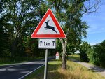 Warnschild: Wildwechsel auf dem nächsten Kilometer möglich