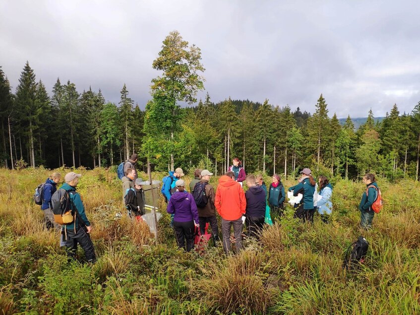 Projektmitglieder sind auf der Fläche im Bannwald Napf