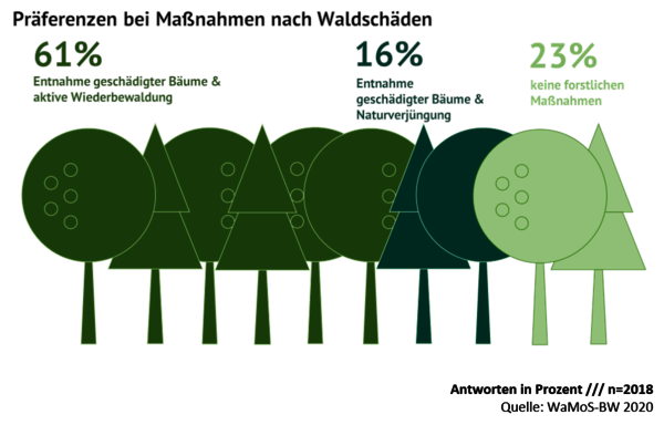 Grafik: Antworten zur Frage nach Präferenzen bei Maßnahmen nach Waldschäden: Entnahme geschädigter Bäume und aktive Wiederbewaldung 61%, Entnahme geschädigter Bäume und Naturverjüngung 16%, keine forstlichen Maßnahmen 23%.