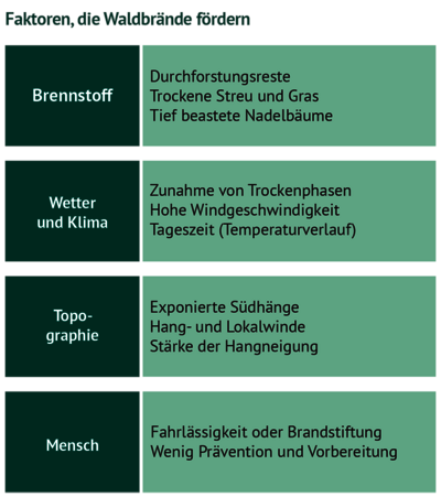 Die Grafik zeigt die Faktoren, die Waldbrände fördern, unterteilt in 4 Kategorien: Brennstoff, Wetter und Klima, Topographie und Mensch. 