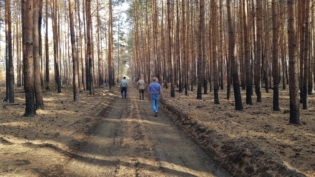 Waldbrand - in Zukunft auch bei uns ein häufiger Anblick? (Bild: Andreas Schuck, EFI)