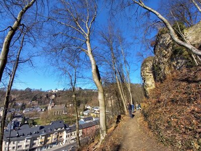 Wanderweg im Stadtwald Luxemburg