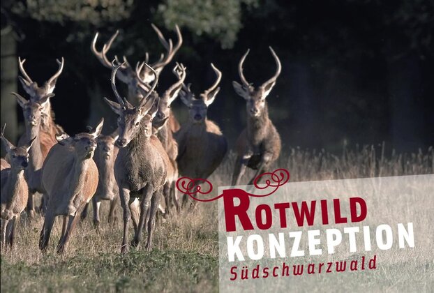 Titelbild der Broschüre "Rotwildkonzeption Südschwarzwald" (2008)