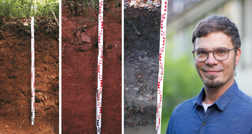 Collage verschiedener Waldbodentypen und Bodenexperte Dr. Peter Hartmann von der FVA