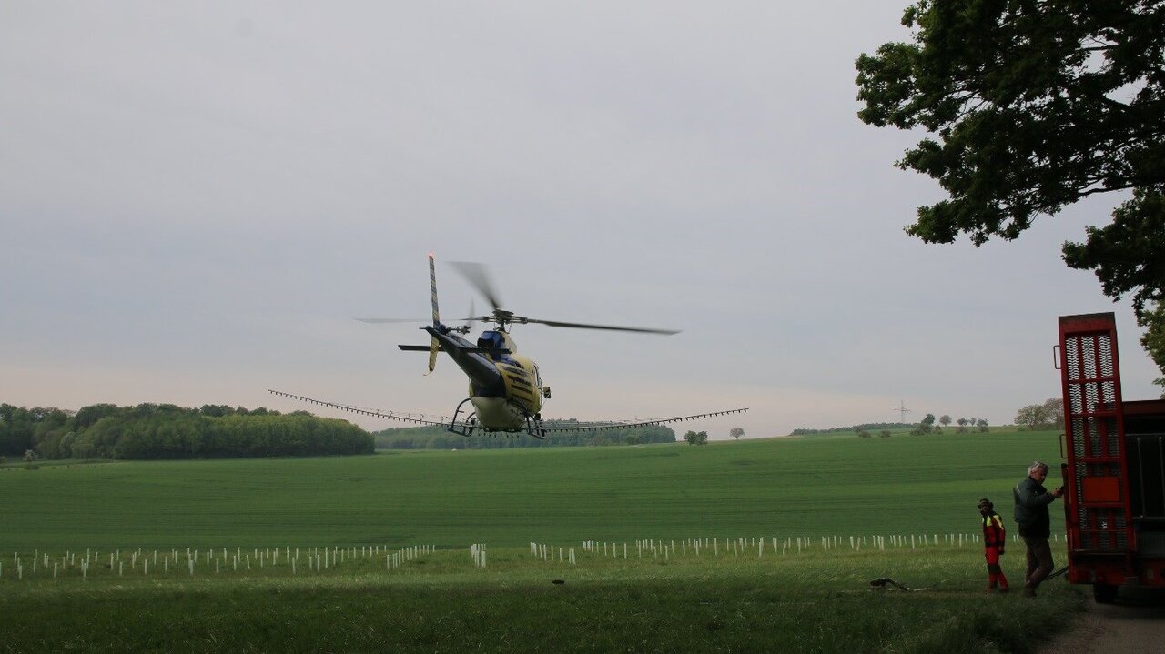 Use of plant protection products as a last resort, here being applied by helicopter to treat the oak processionary moth (Photo: FVA BW/Burger)
