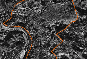 Altes Luftbild (schwarz-weiß) vom Bannwald Zimmeracker (Grenze markiert). Nadelbäume sind in dunkleren Tönen abgebildet. Laubwaldbestände in helleren Grautönen. Quelle: FVA BW