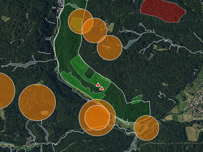  Geodaten im Waldnaturschutz-Informationssystem