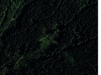 Farbiges Orthophoto (RGB) mit einem strukturierten Waldbereich mit Lücken innerhalb der geschlossenen Waldbeständen und entlang der Waldwege. Quelle: LGL BW
