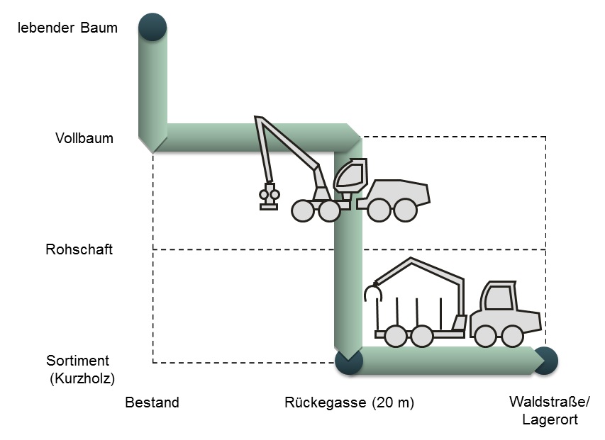 Funktiogramm Vollernter-Verfahren 20 m Rückegassenabstand (NH + LH)