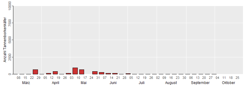 Die Grafik zeigt die BrutDie Grafik zeigt die wöchentlichen Fangzahlen des Tannenborkenkäfers