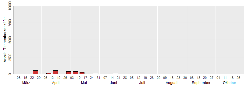 Die Grafik zeigt die wöchentlichen Fangzahlen des Tannenborkenkäfers