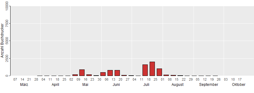 Die Grafik zeigt die wöchentlichen Fangzahlen des Buchdruckers in Relation zu den Temperaturen