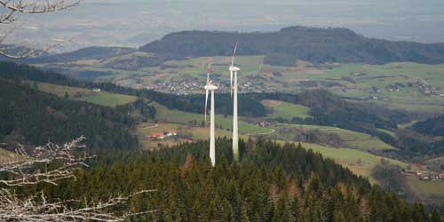 Windenergie und Auerhuhn